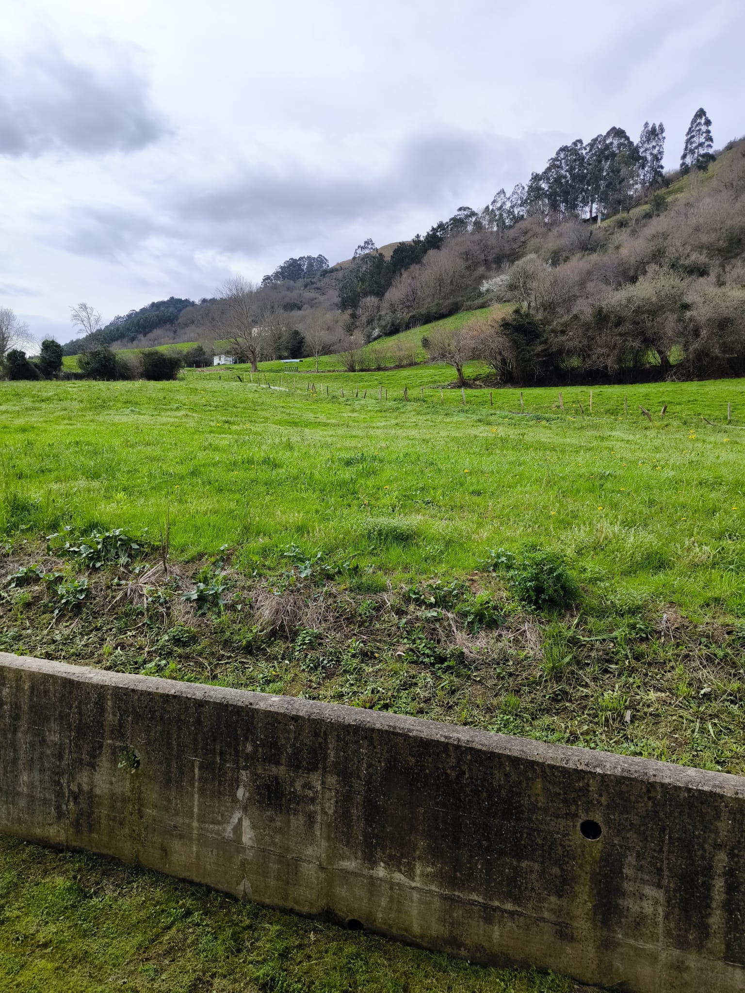 piso corvera de toranzo ex (4)